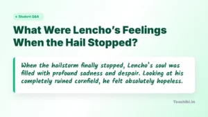 What Were Lencho’s Feelings When the Hail Stopped? Lencho felt deep sadness and hopelessness after his cornfield was completely destroyed by the hailstorm.