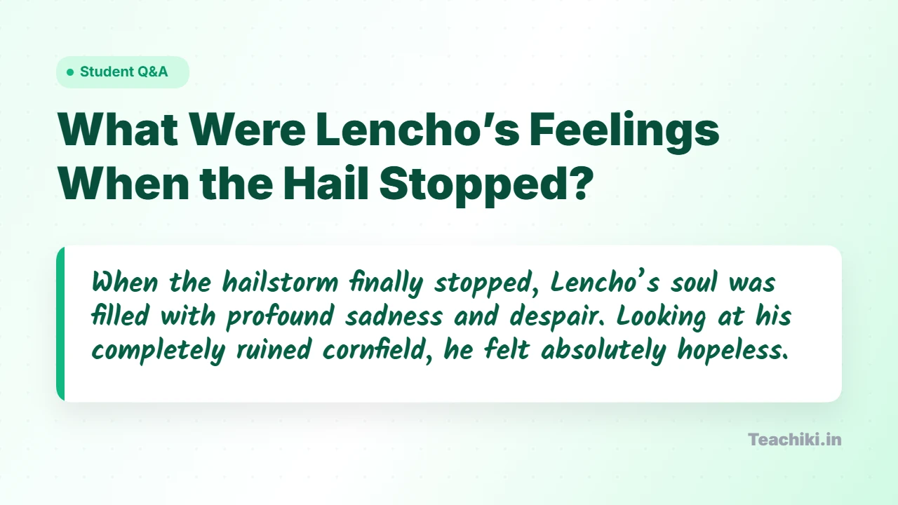 What Were Lencho’s Feelings When the Hail Stopped? Lencho felt deep sadness and hopelessness after his cornfield was completely destroyed by the hailstorm.
